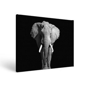 Холст прямоугольный с принтом Слон , 100% ПВХ |  | africa | big | black   white | elephant is an animal | shroud | tusks | африка | бивни | большой | животное | идет | савана | слон | черно   белый