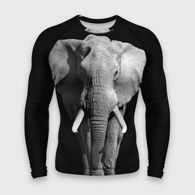 Мужской рашгард 3D с принтом Слон ,  |  | africa | big | black   white | elephant is an animal | shroud | tusks | африка | бивни | большой | животное | идет | савана | слон | черно   белый