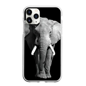Чехол для iPhone 11 Pro матовый с принтом Слон , Силикон |  | Тематика изображения на принте: africa | big | black   white | elephant is an animal | shroud | tusks | африка | бивни | большой | животное | идет | савана | слон | черно   белый
