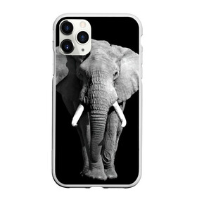 Чехол для iPhone 11 Pro Max матовый с принтом Слон , Силикон |  | africa | big | black   white | elephant is an animal | shroud | tusks | африка | бивни | большой | животное | идет | савана | слон | черно   белый