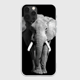 Чехол для iPhone 12 Pro с принтом Слон , силикон | область печати: задняя сторона чехла, без боковых панелей | Тематика изображения на принте: africa | big | black   white | elephant is an animal | shroud | tusks | африка | бивни | большой | животное | идет | савана | слон | черно   белый