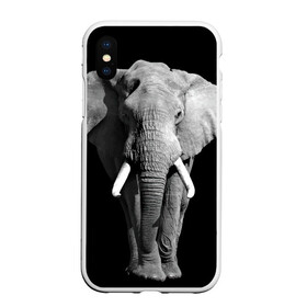 Чехол для iPhone XS Max матовый с принтом Слон , Силикон | Область печати: задняя сторона чехла, без боковых панелей | africa | big | black   white | elephant is an animal | shroud | tusks | африка | бивни | большой | животное | идет | савана | слон | черно   белый