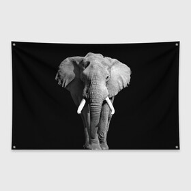 Флаг-баннер с принтом Слон , 100% полиэстер | размер 67 х 109 см, плотность ткани — 95 г/м2; по краям флага есть четыре люверса для крепления | africa | big | black   white | elephant is an animal | shroud | tusks | африка | бивни | большой | животное | идет | савана | слон | черно   белый