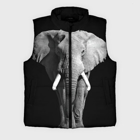 Мужской жилет утепленный 3D с принтом Слон ,  |  | africa | big | black   white | elephant is an animal | shroud | tusks | африка | бивни | большой | животное | идет | савана | слон | черно   белый