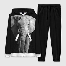 Женский костюм 3D с принтом Слон ,  |  | africa | big | black   white | elephant is an animal | shroud | tusks | африка | бивни | большой | животное | идет | савана | слон | черно   белый