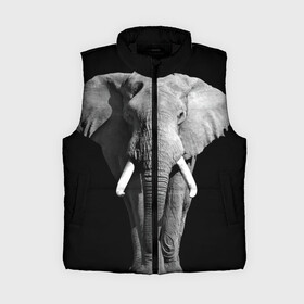 Женский жилет утепленный 3D с принтом Слон ,  |  | africa | big | black   white | elephant is an animal | shroud | tusks | африка | бивни | большой | животное | идет | савана | слон | черно   белый
