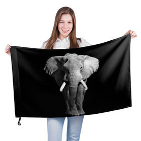 Флаг 3D с принтом Слон , 100% полиэстер | плотность ткани — 95 г/м2, размер — 67 х 109 см. Принт наносится с одной стороны | africa | big | black   white | elephant is an animal | shroud | tusks | африка | бивни | большой | животное | идет | савана | слон | черно   белый
