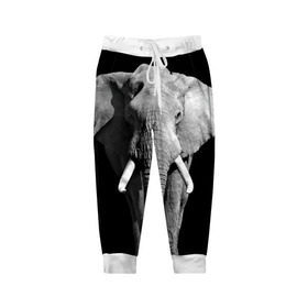 Детские брюки 3D с принтом Слон , 100% полиэстер | манжеты по низу, эластичный пояс регулируется шнурком, по бокам два кармана без застежек, внутренняя часть кармана из мелкой сетки | africa | big | black   white | elephant is an animal | shroud | tusks | африка | бивни | большой | животное | идет | савана | слон | черно   белый
