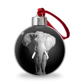 Ёлочный шар с принтом Слон , Пластик | Диаметр: 77 мм | africa | big | black   white | elephant is an animal | shroud | tusks | африка | бивни | большой | животное | идет | савана | слон | черно   белый