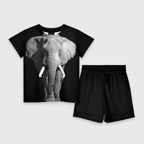 Детский костюм с шортами 3D с принтом Слон ,  |  | africa | big | black   white | elephant is an animal | shroud | tusks | африка | бивни | большой | животное | идет | савана | слон | черно   белый