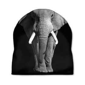 Шапка 3D с принтом Слон , 100% полиэстер | универсальный размер, печать по всей поверхности изделия | africa | big | black   white | elephant is an animal | shroud | tusks | африка | бивни | большой | животное | идет | савана | слон | черно   белый