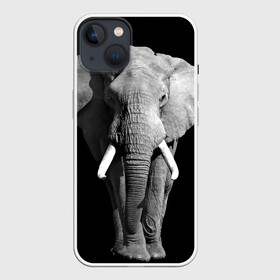 Чехол для iPhone 13 с принтом Слон ,  |  | africa | big | black   white | elephant is an animal | shroud | tusks | африка | бивни | большой | животное | идет | савана | слон | черно   белый