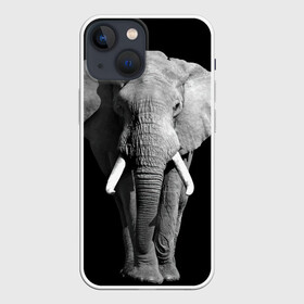 Чехол для iPhone 13 mini с принтом Слон ,  |  | africa | big | black   white | elephant is an animal | shroud | tusks | африка | бивни | большой | животное | идет | савана | слон | черно   белый