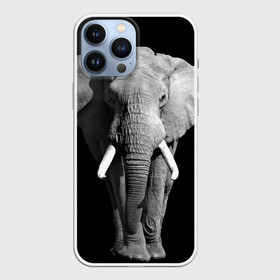 Чехол для iPhone 13 Pro Max с принтом Слон ,  |  | Тематика изображения на принте: africa | big | black   white | elephant is an animal | shroud | tusks | африка | бивни | большой | животное | идет | савана | слон | черно   белый