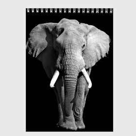 Скетчбук с принтом Слон , 100% бумага
 | 48 листов, плотность листов — 100 г/м2, плотность картонной обложки — 250 г/м2. Листы скреплены сверху удобной пружинной спиралью | africa | big | black   white | elephant is an animal | shroud | tusks | африка | бивни | большой | животное | идет | савана | слон | черно   белый