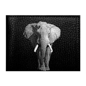 Обложка для студенческого билета с принтом Слон , натуральная кожа | Размер: 11*8 см; Печать на всей внешней стороне | Тематика изображения на принте: africa | big | black   white | elephant is an animal | shroud | tusks | африка | бивни | большой | животное | идет | савана | слон | черно   белый