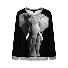 Мужской свитшот 3D с принтом Слон , 100% полиэстер с мягким внутренним слоем | круглый вырез горловины, мягкая резинка на манжетах и поясе, свободная посадка по фигуре | africa | big | black   white | elephant is an animal | shroud | tusks | африка | бивни | большой | животное | идет | савана | слон | черно   белый