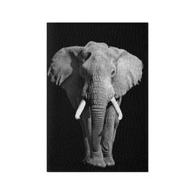 Обложка для паспорта матовая кожа с принтом Слон , натуральная матовая кожа | размер 19,3 х 13,7 см; прозрачные пластиковые крепления | Тематика изображения на принте: africa | big | black   white | elephant is an animal | shroud | tusks | африка | бивни | большой | животное | идет | савана | слон | черно   белый