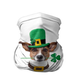 Бандана-труба 3D с принтом Ирландия , 100% полиэстер, ткань с особыми свойствами — Activecool | плотность 150‒180 г/м2; хорошо тянется, но сохраняет форму | animal | breed | clover | dog | folk | fun | funny | hat | hero | ireland | irish | saint patrick | герой | животное | ирландия | ирландский | клевер | народный | порода | прикол | святой патрик | собака | шляпа | шутка