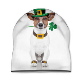 Шапка 3D с принтом Ирландия , 100% полиэстер | универсальный размер, печать по всей поверхности изделия | animal | breed | clover | dog | folk | fun | funny | hat | hero | ireland | irish | saint patrick | герой | животное | ирландия | ирландский | клевер | народный | порода | прикол | святой патрик | собака | шляпа | шутка