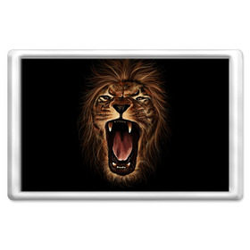 Магнит 45*70 с принтом Львиный рык , Пластик | Размер: 78*52 мм; Размер печати: 70*45 | Тематика изображения на принте: animal | beast | cat | feline | king | lion | meow | pussy | rage | roar | животное | зверь | король | кот | кошка | лев | львица | мяу | рык | хищник | царь | ярость