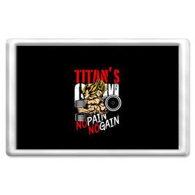 Магнит 45*70 с принтом Titans Gym , Пластик | Размер: 78*52 мм; Размер печати: 70*45 | dragon ball | no pain no gain | аниме | драгон болл
