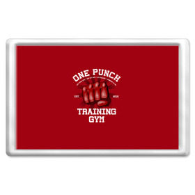 Магнит 45*70 с принтом One Punch Gym , Пластик | Размер: 78*52 мм; Размер печати: 70*45 | boxing | combat | fight | fighter | kickboxing | muay thai | wrestling | боец | бой | бокс | боксер | драка | кикбоксинг | май тай