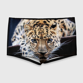 Мужские купальные плавки 3D с принтом Леопард , Полиэстер 85%, Спандекс 15% |  | взгляд | глаза | дикая кошка | леопард | хищник