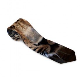 Галстук 3D с принтом Леопард , 100% полиэстер | Длина 148 см; Плотность 150-180 г/м2 | взгляд | глаза | дикая кошка | леопард | хищник