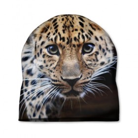 Шапка 3D с принтом Леопард , 100% полиэстер | универсальный размер, печать по всей поверхности изделия | взгляд | глаза | дикая кошка | леопард | хищник