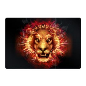Магнитный плакат 3Х2 с принтом Огненный лев , Полимерный материал с магнитным слоем | 6 деталей размером 9*9 см | animal | fire | flame | head | lion | look | predator | взгляд | голова | животное | лев | огненный | огонь | пламя | хищник