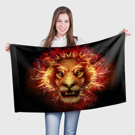 Флаг 3D с принтом Огненный лев , 100% полиэстер | плотность ткани — 95 г/м2, размер — 67 х 109 см. Принт наносится с одной стороны | animal | fire | flame | head | lion | look | predator | взгляд | голова | животное | лев | огненный | огонь | пламя | хищник