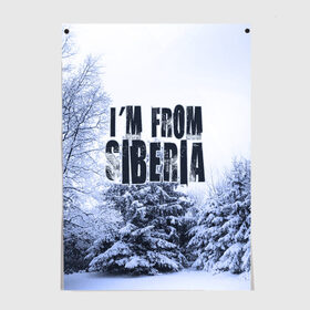 Постер с принтом Я из Сибири , 100% бумага
 | бумага, плотность 150 мг. Матовая, но за счет высокого коэффициента гладкости имеет небольшой блеск и дает на свету блики, но в отличии от глянцевой бумаги не покрыта лаком | siberia | зима | россия | сибирь | снег | холод