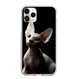 Чехол для iPhone 11 Pro матовый с принтом Сфинкс , Силикон |  | black | cat | взгляд | кот | котик | котэ | кошка | сфинкс | уши | черный