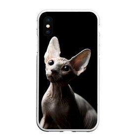 Чехол для iPhone XS Max матовый с принтом Сфинкс , Силикон | Область печати: задняя сторона чехла, без боковых панелей | Тематика изображения на принте: black | cat | взгляд | кот | котик | котэ | кошка | сфинкс | уши | черный