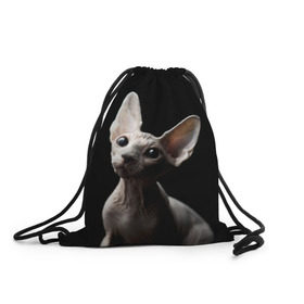 Рюкзак-мешок 3D с принтом Сфинкс , 100% полиэстер | плотность ткани — 200 г/м2, размер — 35 х 45 см; лямки — толстые шнурки, застежка на шнуровке, без карманов и подкладки | black | cat | взгляд | кот | котик | котэ | кошка | сфинкс | уши | черный