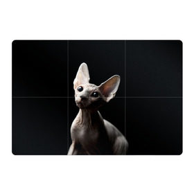 Магнитный плакат 3Х2 с принтом Сфинкс , Полимерный материал с магнитным слоем | 6 деталей размером 9*9 см | black | cat | взгляд | кот | котик | котэ | кошка | сфинкс | уши | черный