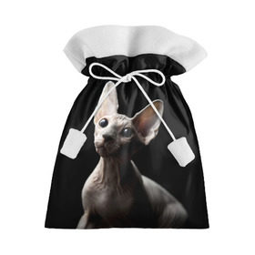 Подарочный 3D мешок с принтом Сфинкс , 100% полиэстер | Размер: 29*39 см | black | cat | взгляд | кот | котик | котэ | кошка | сфинкс | уши | черный