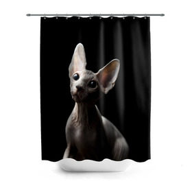 Штора 3D для ванной с принтом Сфинкс , 100% полиэстер | плотность материала — 100 г/м2. Стандартный размер — 146 см х 180 см. По верхнему краю — пластиковые люверсы для креплений. В комплекте 10 пластиковых колец | black | cat | взгляд | кот | котик | котэ | кошка | сфинкс | уши | черный
