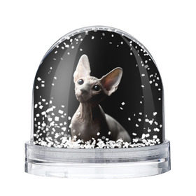 Снежный шар с принтом Сфинкс , Пластик | Изображение внутри шара печатается на глянцевой фотобумаге с двух сторон | black | cat | взгляд | кот | котик | котэ | кошка | сфинкс | уши | черный