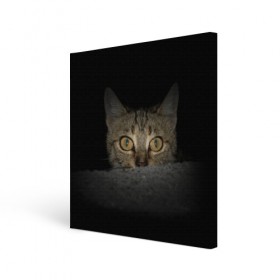 Холст квадратный с принтом Котик , 100% ПВХ |  | животные | кот | котенок | котик | кошка