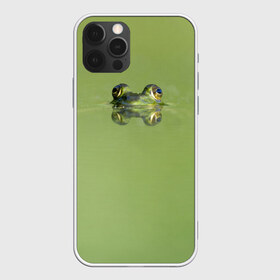 Чехол для iPhone 12 Pro Max с принтом Лягушка , Силикон |  | Тематика изображения на принте: болото | жаба | животные | лягушка