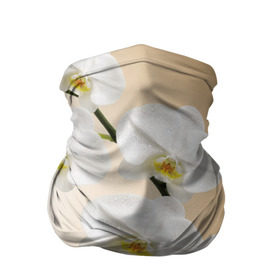 Бандана-труба 3D с принтом Orhid , 100% полиэстер, ткань с особыми свойствами — Activecool | плотность 150‒180 г/м2; хорошо тянется, но сохраняет форму | девушки | красота | орхидея | прелесть | цветы