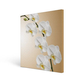 Холст квадратный с принтом Orhid , 100% ПВХ |  | Тематика изображения на принте: девушки | красота | орхидея | прелесть | цветы