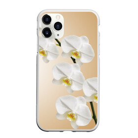 Чехол для iPhone 11 Pro матовый с принтом Orhid , Силикон |  | девушки | красота | орхидея | прелесть | цветы