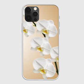 Чехол для iPhone 12 Pro Max с принтом Orhid , Силикон |  | девушки | красота | орхидея | прелесть | цветы