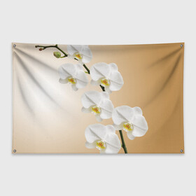 Флаг-баннер с принтом Orhid , 100% полиэстер | размер 67 х 109 см, плотность ткани — 95 г/м2; по краям флага есть четыре люверса для крепления | девушки | красота | орхидея | прелесть | цветы