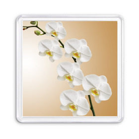 Магнит 55*55 с принтом Orhid , Пластик | Размер: 65*65 мм; Размер печати: 55*55 мм | девушки | красота | орхидея | прелесть | цветы