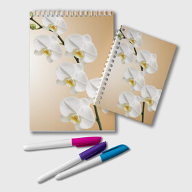 Блокнот с принтом Orhid , 100% бумага | 48 листов, плотность листов — 60 г/м2, плотность картонной обложки — 250 г/м2. Листы скреплены удобной пружинной спиралью. Цвет линий — светло-серый
 | девушки | красота | орхидея | прелесть | цветы