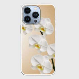 Чехол для iPhone 13 Pro с принтом Orhid ,  |  | Тематика изображения на принте: девушки | красота | орхидея | прелесть | цветы
